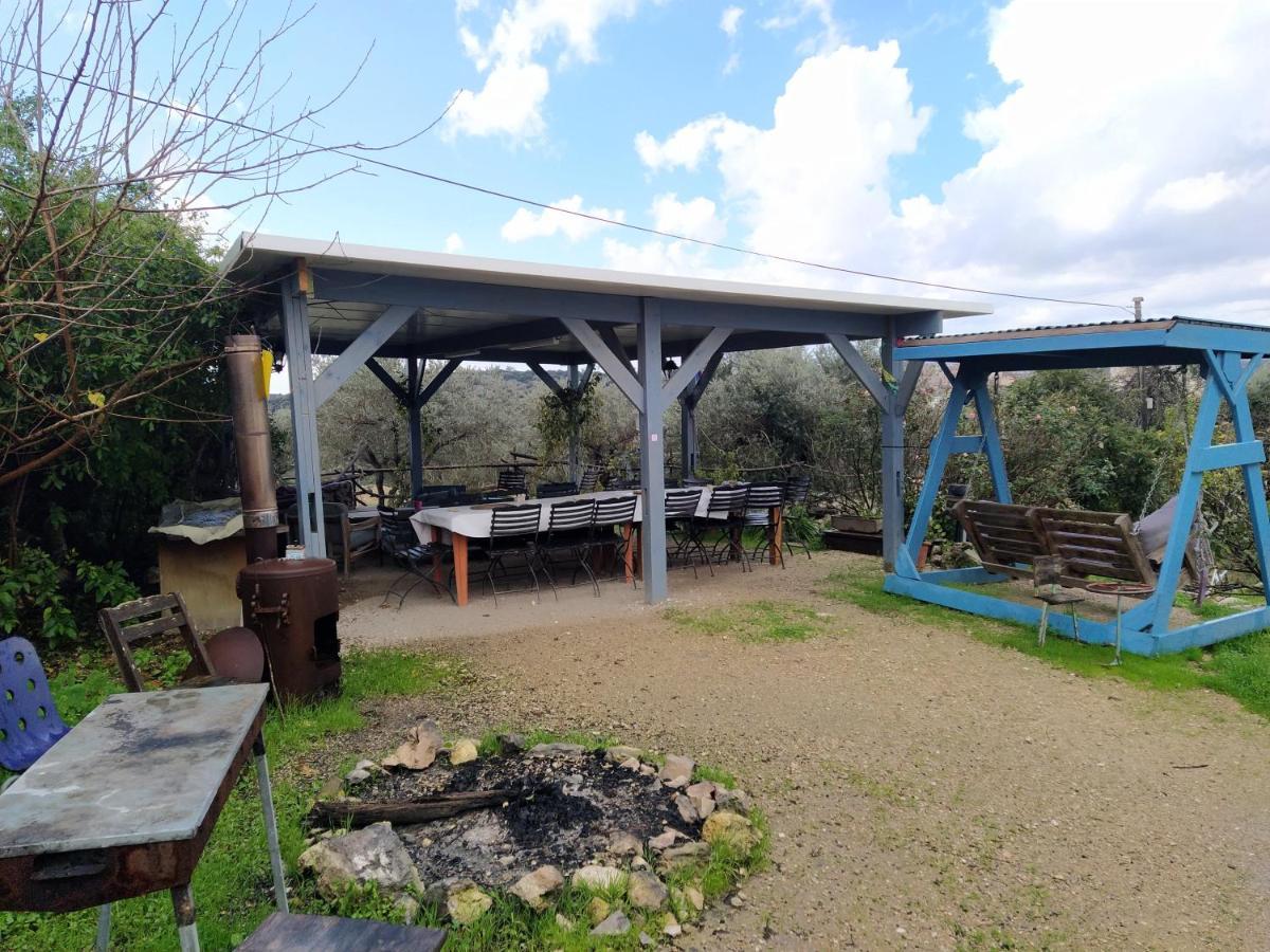 Galilee Bedouin Camplodge Tabash Zewnętrze zdjęcie