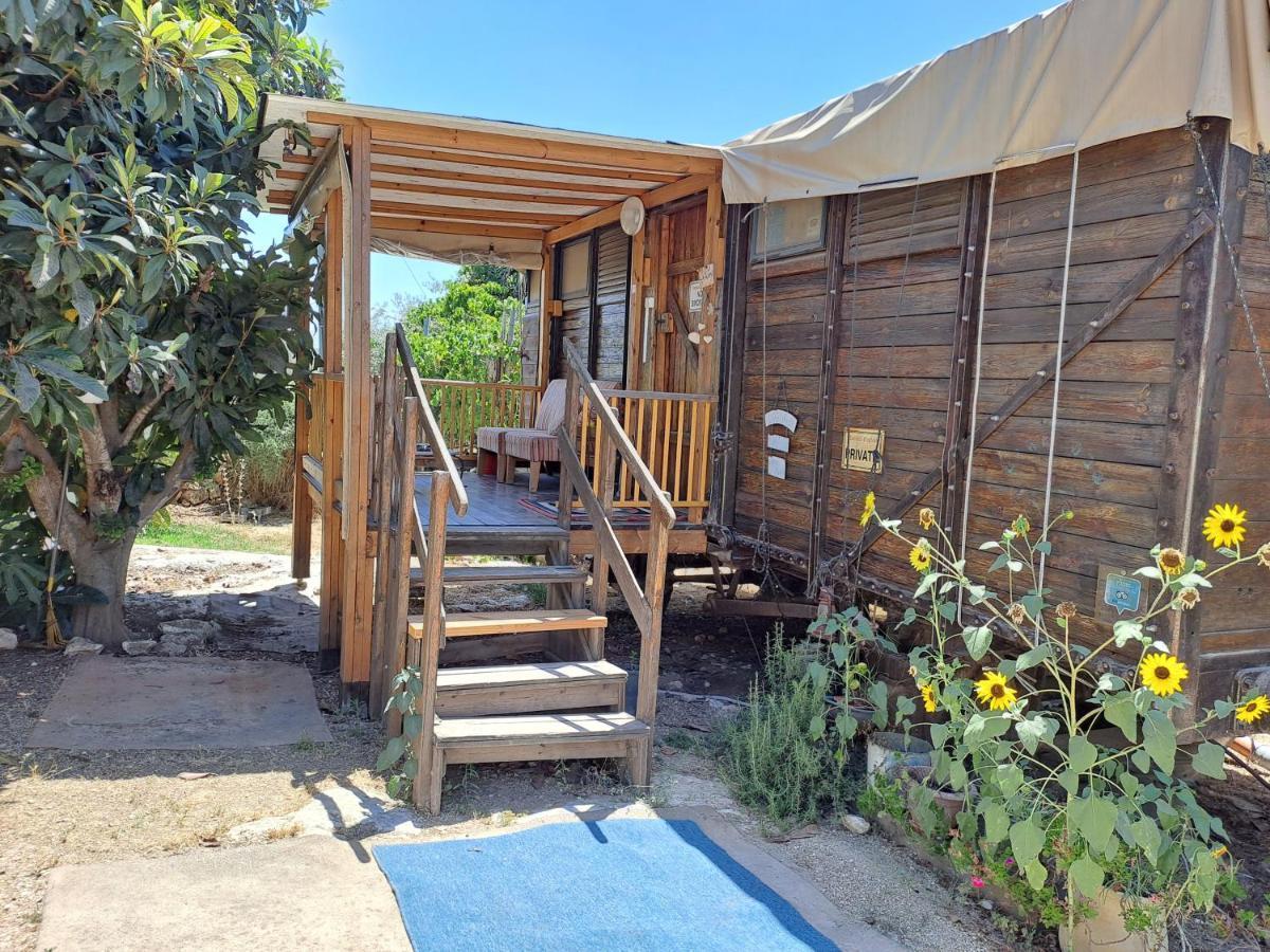 Galilee Bedouin Camplodge Tabash Zewnętrze zdjęcie