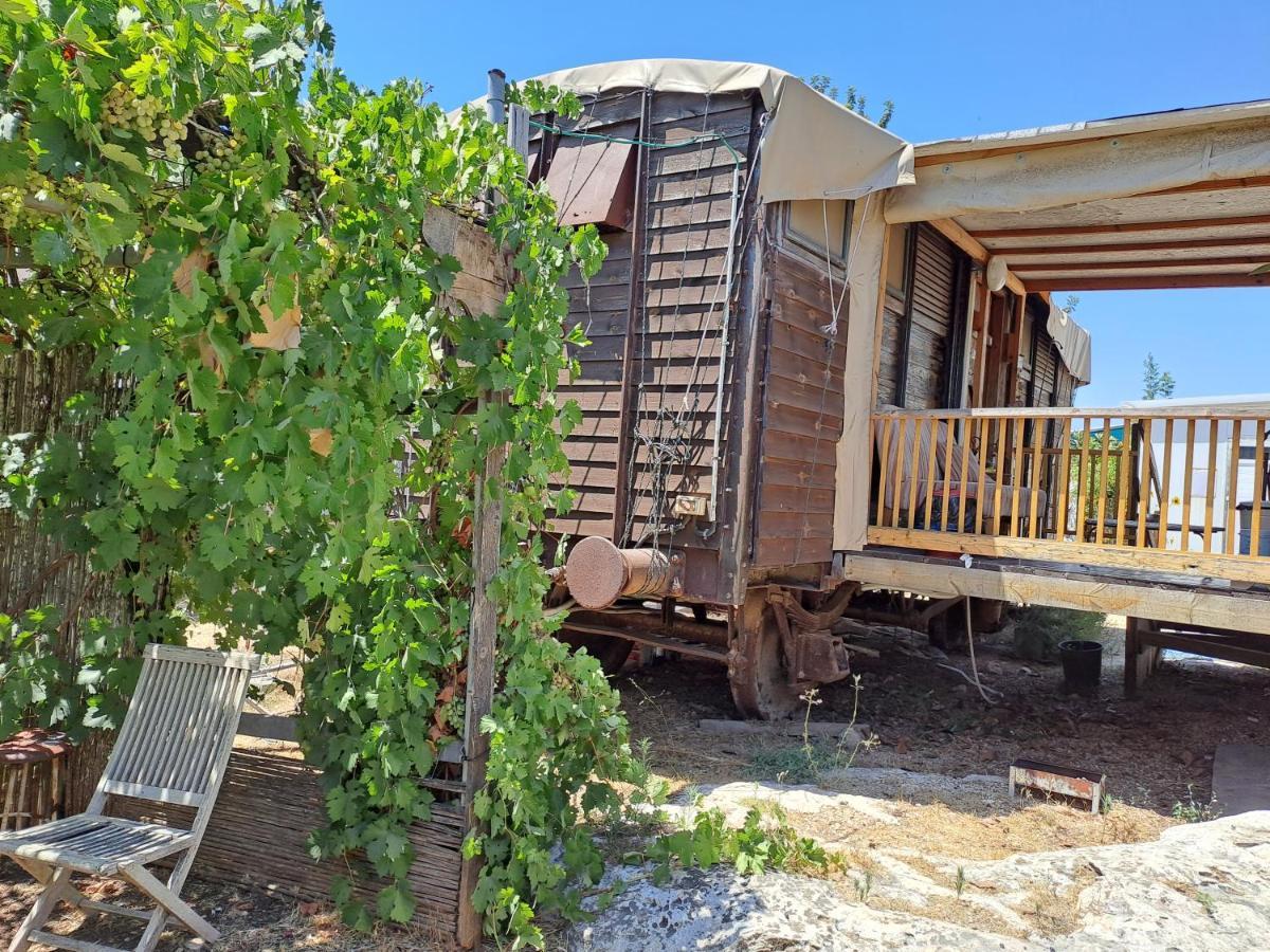 Galilee Bedouin Camplodge Tabash Zewnętrze zdjęcie