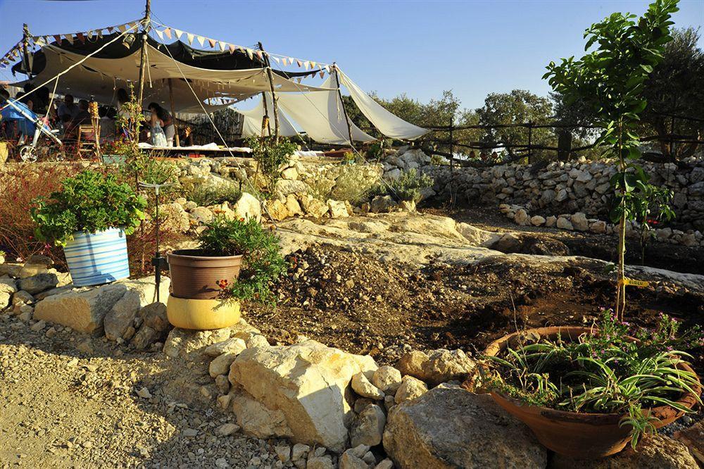 Galilee Bedouin Camplodge Tabash Zewnętrze zdjęcie