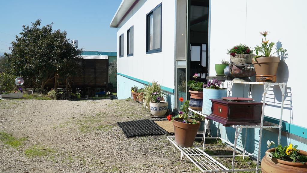 Galilee Bedouin Camplodge Tabash Zewnętrze zdjęcie