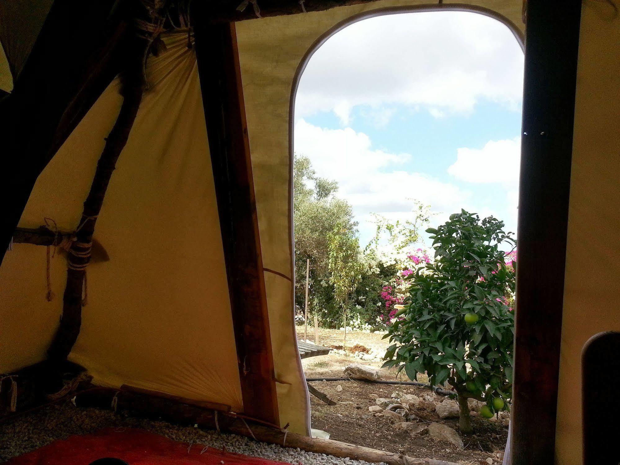Galilee Bedouin Camplodge Tabash Zewnętrze zdjęcie